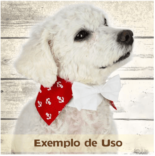 Colarinho com Gravata para Cachorro e Gato - Preto e Branco Bolinhas e Coroas - Exemplo de uso