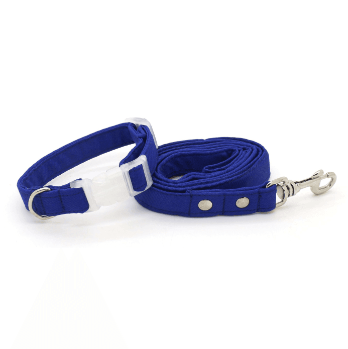Coleira Basic - com Guia - Azul