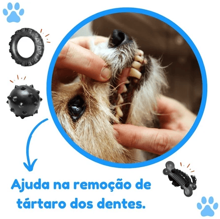 Kit Pneu Bola Osso - Ajuda na remoção de tártaro