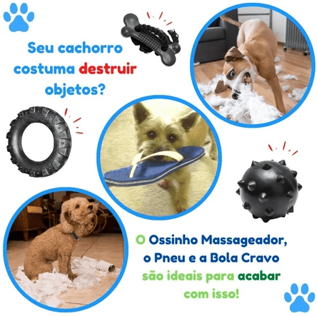 Kit Pneu Bola Osso - Para cães destruidores