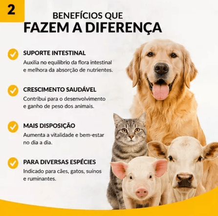 Benefícios: suporte intestinal, crescimento e disposição