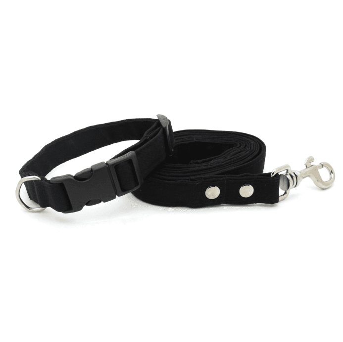 Coleira Basic - com Guia - Preto