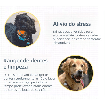 Kit Mordedores - Alívio do stress e limpeza dos dentes