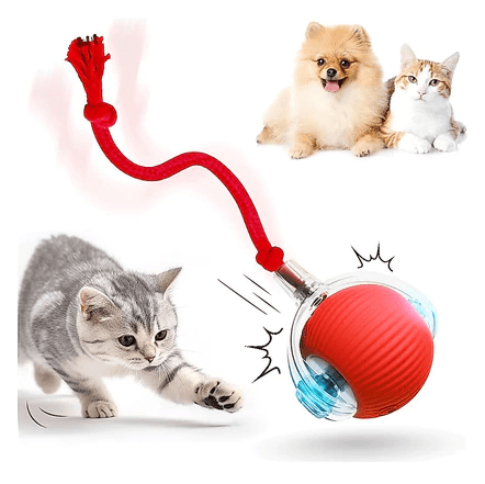 Bola Inteligente - Para gatos e cães pequenos