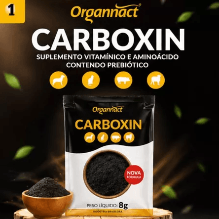 Carboxin - suplemento vitamínico e aminoácido com prebiótico