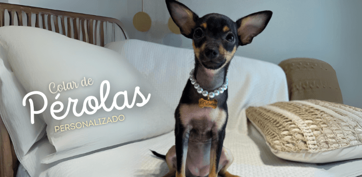 Colar de Pérolas personalizado com o nome do pet