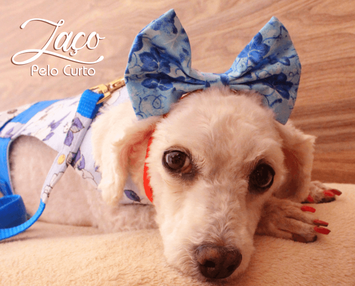Laço para Pelo Curto com Elástico - Stella - No pet