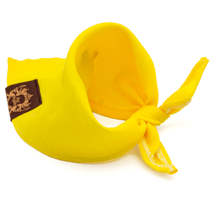 Bandana Minion - Parte de trás