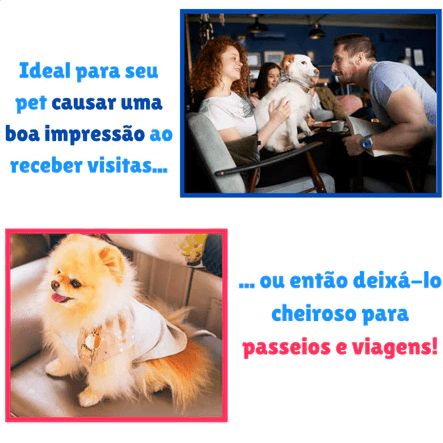 Kit Pet Clean - Cheiroso para visitas e passeios