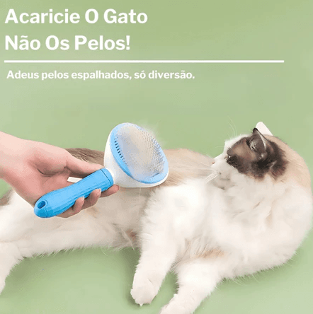 Kit 4 Peças - Acaricie o gato, não os pelos